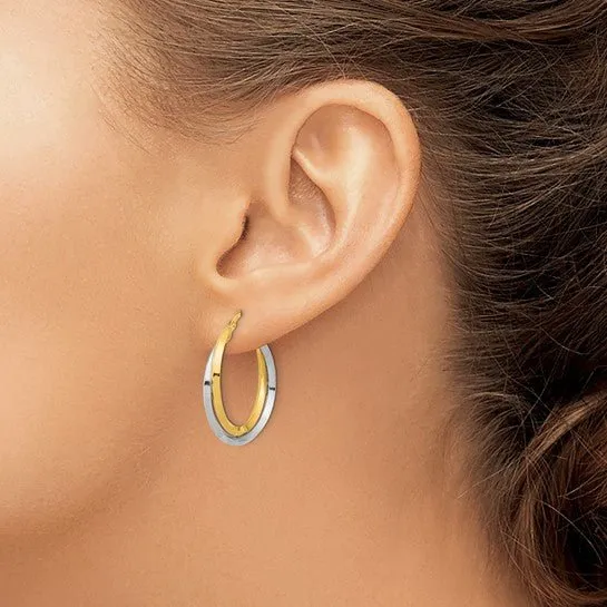 14K TT Gold Double Hoop Earrings