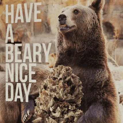 HAVE A BEARY NICE DAY HEMP GREETING CARD